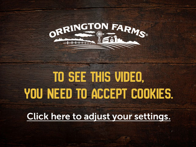 To see this video, you need to accept cookies. Click here to adjust your settings.